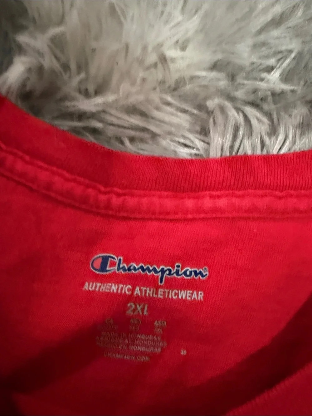 Champion shirt 2XL long sleeve